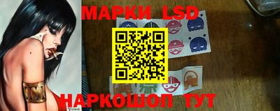 apvp Кингисепп