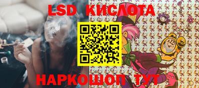 apvp Кингисепп