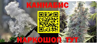 apvp Кингисепп