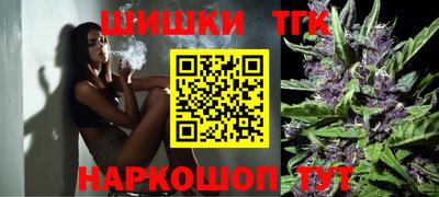 apvp Кингисепп