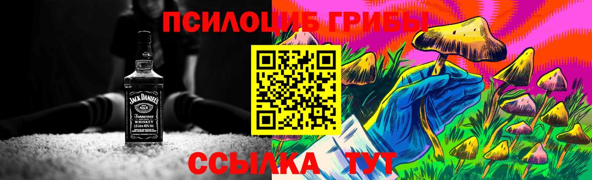 Псилоцибиновые грибы ЛСД Корсаков
