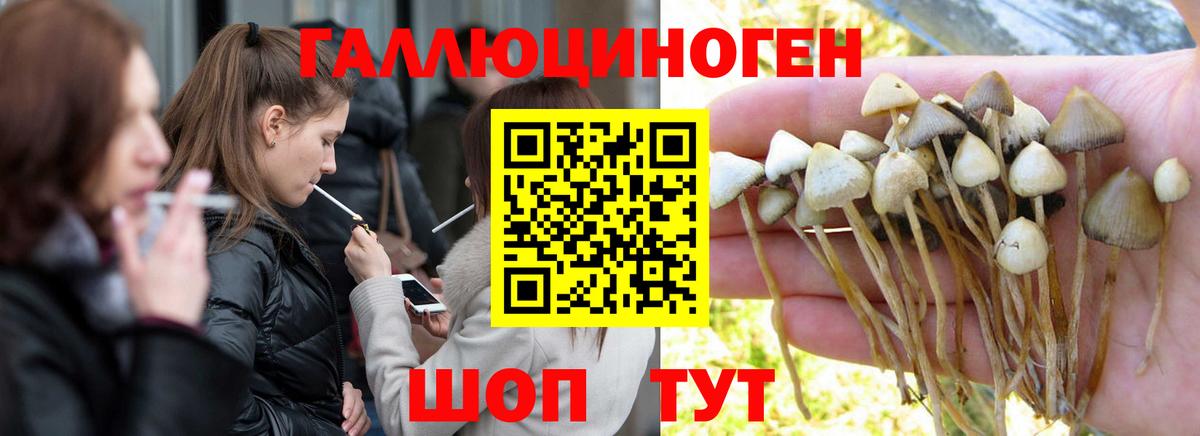 сколько стоит  Галлюциногенные грибы Psilocybe  Псилоцибиновые грибы Cubensis  Вход с VPN  Корсаков 
